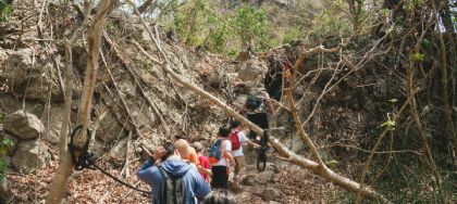 【港都開遊】高雄吱識王——跟著猴子去爬山